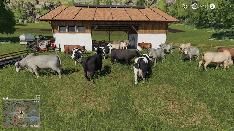 Cows. In case you were wondering.